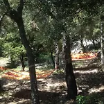 Bed & Breakfast L'abri La Vall Sorède