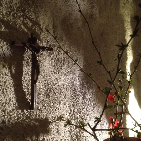 L'abri La Vall לינה וארוחת בוקר Sorède