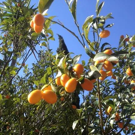 L'abri La Vall فندق مبيت وإفطار