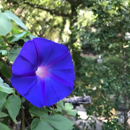 فندق مبيت وإفطار L'abri La Vall *