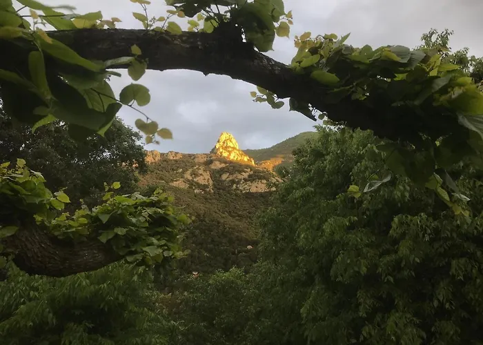 L'abri La Vall Oda ve Kahvaltı Sorède